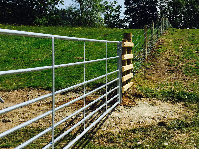Stock fencing and gates
